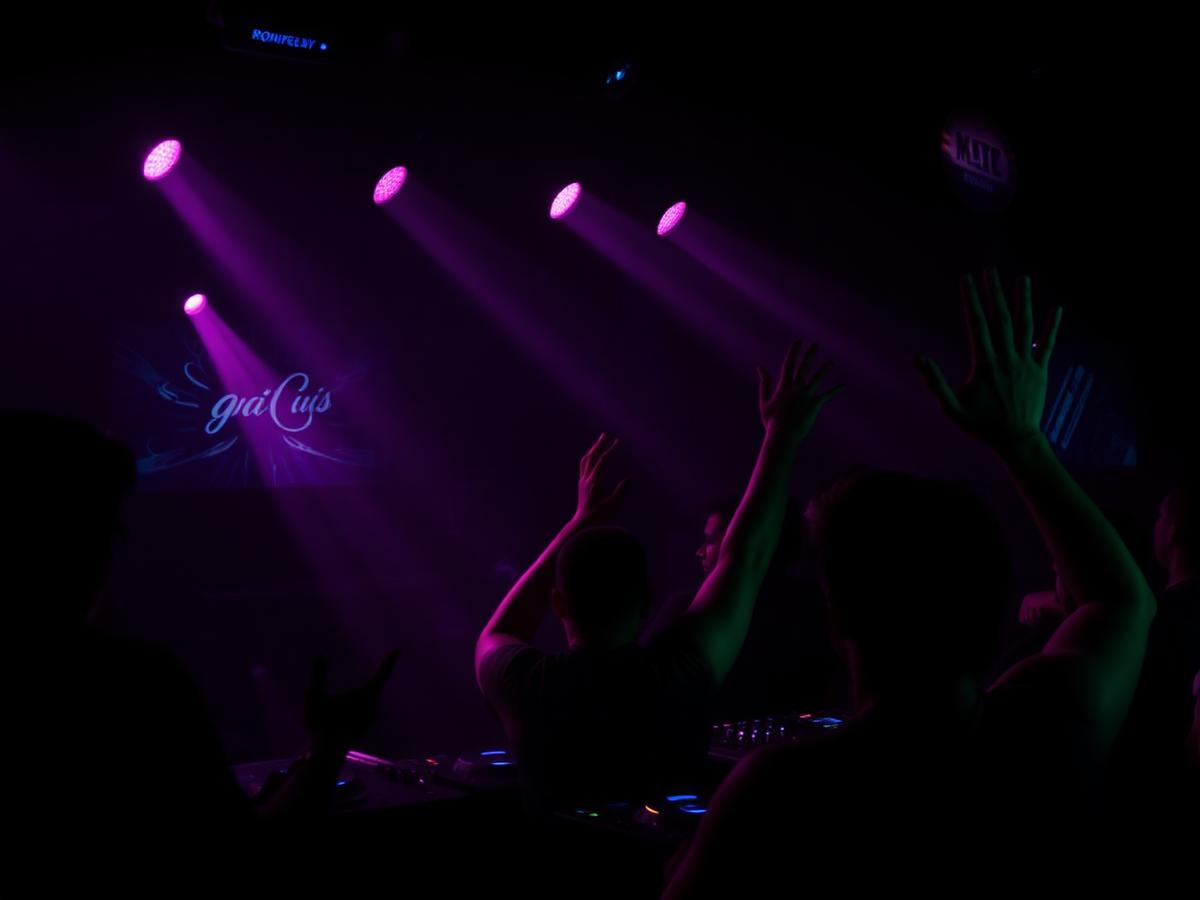 DJ playing to a crowd with hands raised at Willow